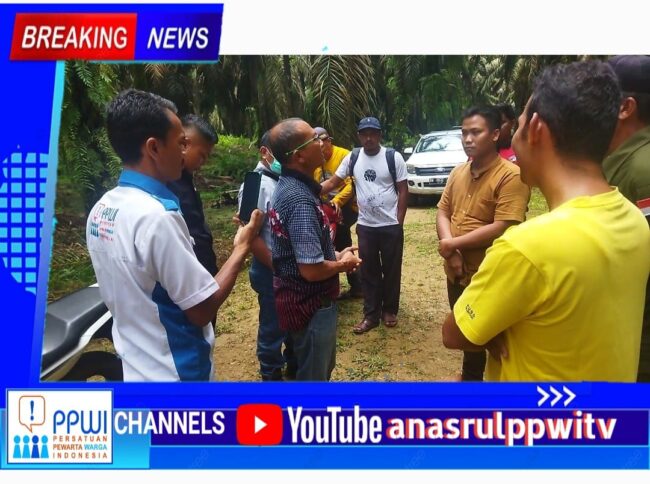 &#x2b50; Humas PT. MAS : Lahan Milik Kami, Kelompok Tani Sako Mandiri : Punya Kami IMG 20221005 WA0057 1 650x484