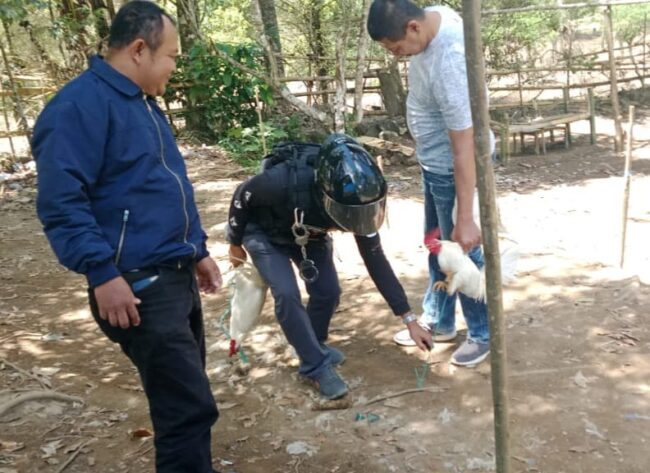 IMG-20250918-WA0098-650x473 IMG-20250918-WA0098-650x473 ⭐️Polisi Gerebek Judi Sabung Ayam di Desa Sapobonto Bulukumpa, Pelaku Kabur IMG 20250918 WA0098 650x473