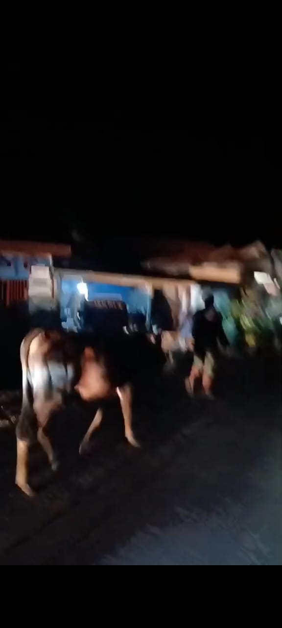 IMG-20250918-WA0239 IMG-20250918-WA0239 ⭐️Team Gabungan Resmob Polres Bulukumba dan Polsek Sikat Sindikat Curnak di Kajang, Dua Pelaku Diamankan IMG 20250918 WA0239